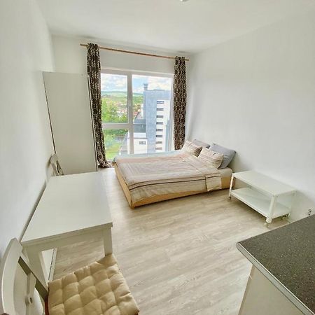 Cozy Studio Near The Center Of Cluj Kültér fotó
