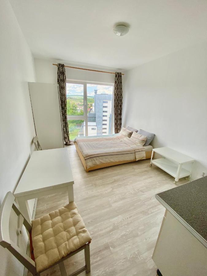Cozy Studio Near The Center Of Cluj Kültér fotó